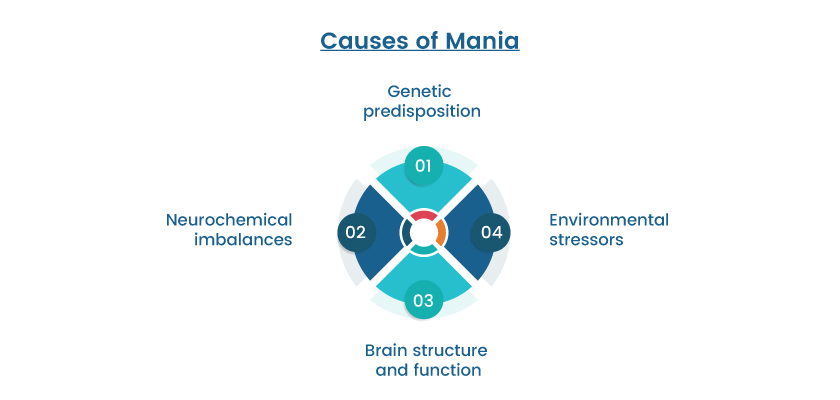 Causes of Mania