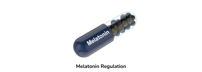 Melatonin Regulation